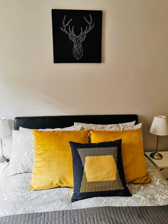 דבלין City Centre Georgian Style Apartment מראה חיצוני תמונה